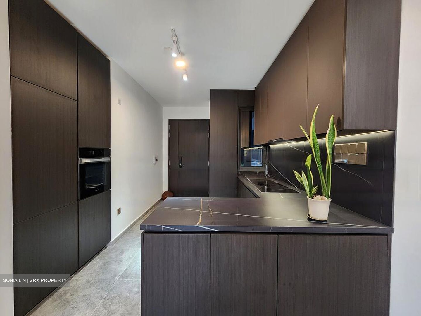 Hyll On Holland (D10), Condominium #632047351